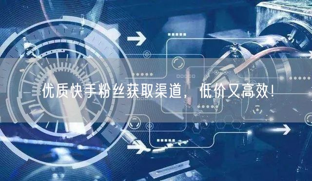 优质快手粉丝获取渠道，低价又高效！