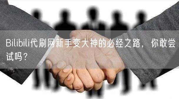 Bilibili代刷网新手变大神的必经之路，你敢尝试吗？