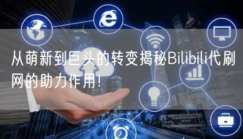 从萌新到巨头的转变揭秘Bilibili代刷网的助力作用！